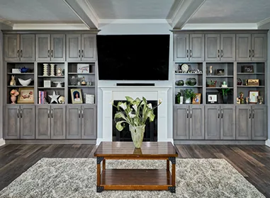 Gray built-in entertainment